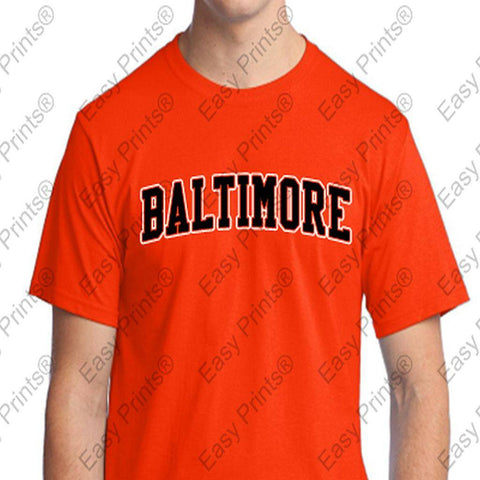 Baltimore Arch Ravens or Orioles T-Shirt Choose Purple or Orange